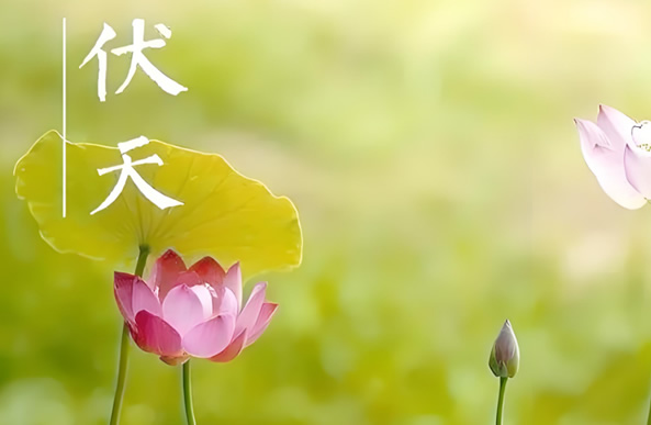不锈钢水箱价格/不锈钢消防水箱厂家圣宇给水公司-入伏：与盛夏温柔相拥的仪式感