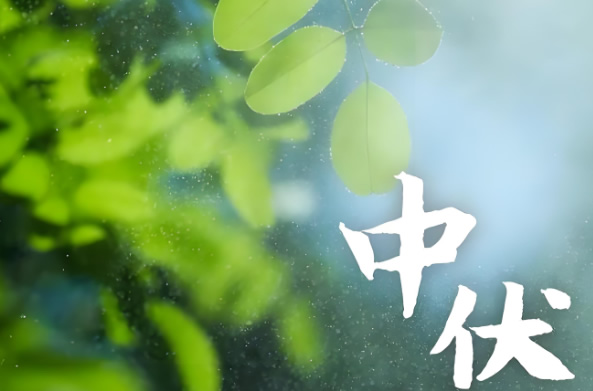 不锈钢水箱厂家圣宇给水设备公司-中伏：藏在热浪里的生活诗意！
