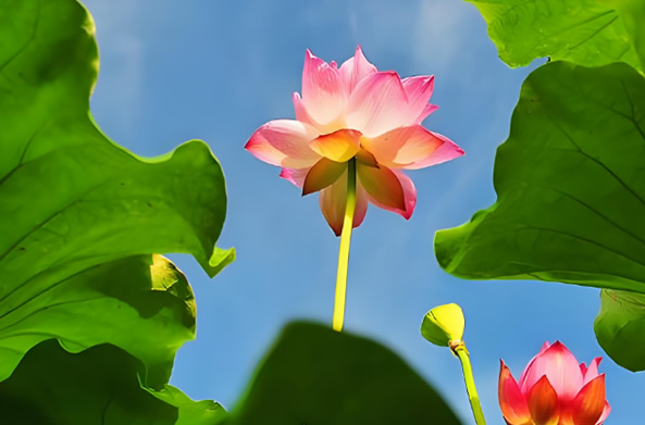 不锈钢水箱厂家圣宇给水公司-八月来信：夏末的温柔絮语！