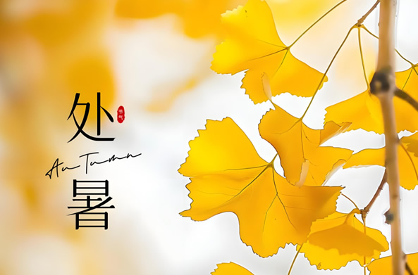 不锈钢消防水箱生产厂家圣宇给水设备公司-处暑已至，气温开启 “新旅程”