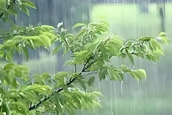 不锈钢水箱价格/不锈钢水箱厂家圣宇给水设备公司-雨落初秋，一帘清愁伴温柔