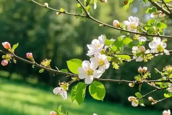 不锈钢水箱定制/不锈钢消防水箱生产厂家圣宇给水设备公司-春暖花开的好时节，出去走走吧！